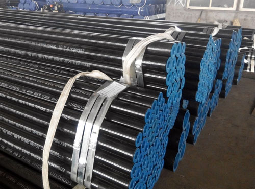 SA106GR.B(bio)op䓹
